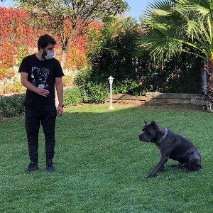 Sempati Köpek Egitim Merkezi