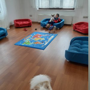 Sempati Köpek Okulu