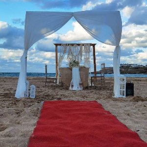 Sevinç & Fidan Organizasyon