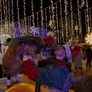 Sıla Gül Açıkgöz