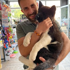 Kastamonu Köpek Koleji 