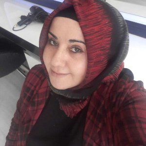 Sürmeli Akıncı