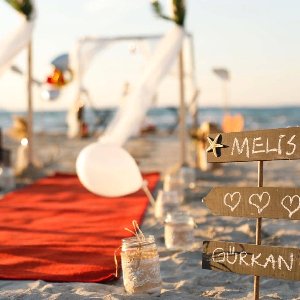 S. Events & Organization