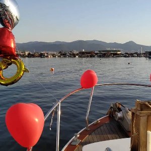 S. Events & Organization