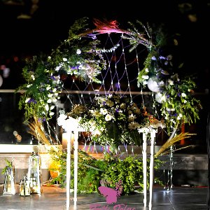 Tatlı Telaş Organizasyon