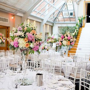 Tatlı Telaşe Organizasyon