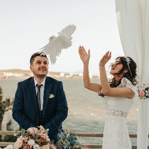 Tatlı Telaşe Organizasyon