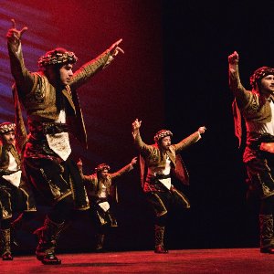 Tatlı Telaşe Organizasyon