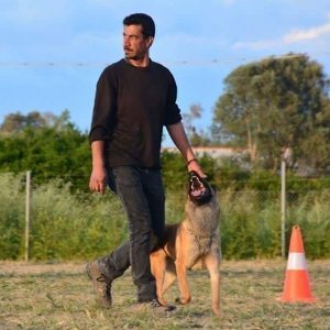 Alfa TG Dog Trainer 