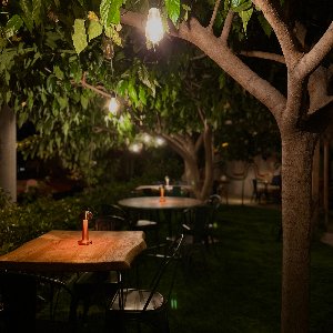 The Local Cocktail Bar