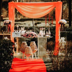 The Vine Organizasyon