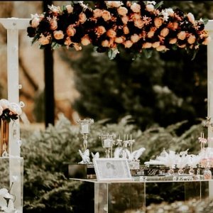 The Vine Organizasyon