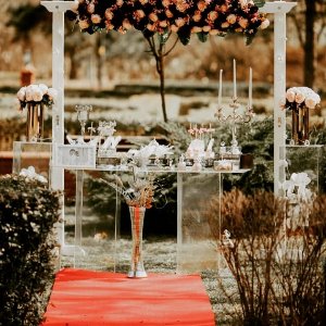 The Vine Organizasyon