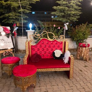 The Vine Organizasyon