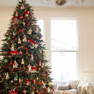 The Vine Organizasyon