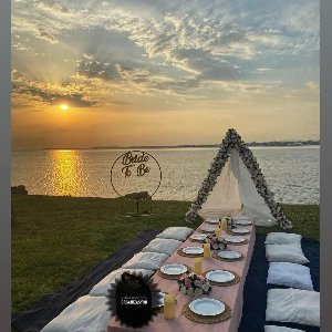 Tomacan Organizasyon