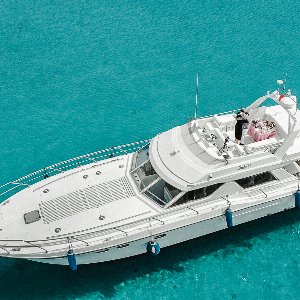 Viva La Vida Organizasyon