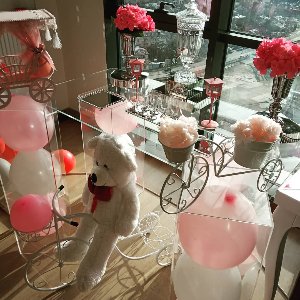 White Angel Organizasyon