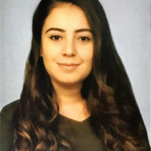 Birgül