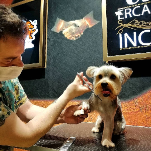 Elif Odabaş Hulusioğlu